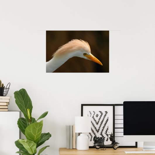 Poster Bel oiseau héron garde-boeufs (Bureau à domicile)