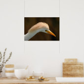 Poster Bel oiseau héron garde-boeufs (Cuisine)