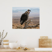 Poster Bel Oiseau Magnifique (Cuisine)