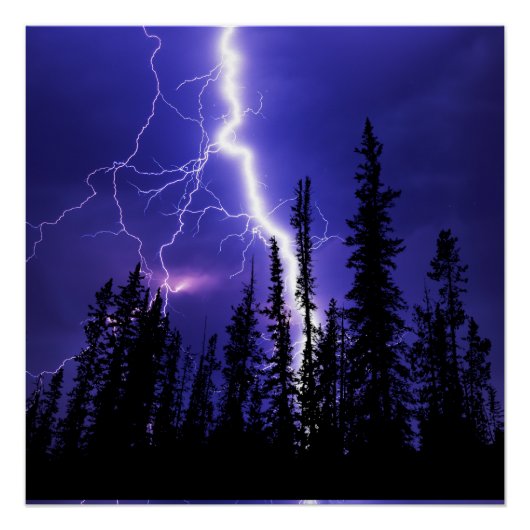 Poster bel orage sur la forêt (Devant)
