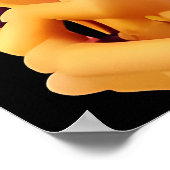 Poster Bela Sonnez Votre Corne (Coin)