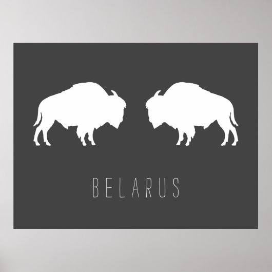 Poster Belarus Belarusian Bison Зубр Беларусь Travel (Devant)