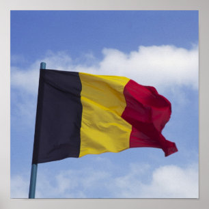 Poster Belgian flag RF)