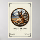 Poster Belgian Malinois Zoology Series (Devant)
