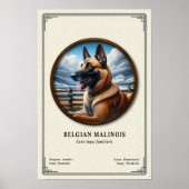 Poster Belgian Malinois Zoology Series (Devant)