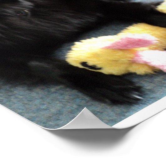 Poster Belgian Shepherd by the Fireplace (Coin)