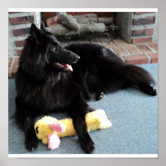 Poster Belgian Shepherd by the Fireplace (Devant)