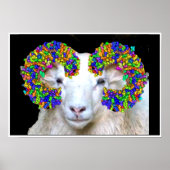 Poster Bélier (Devant)