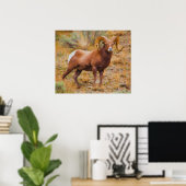 Poster Bélier Big Horn (Bureau à domicile)