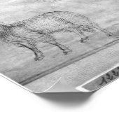 Poster Bélier et tête de bélier (Coin)