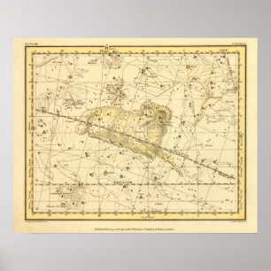 Poster Bélier, Musca Borealis