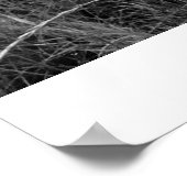 Poster Believe and Barbed Wire, Highway 97, Oregon (Coin)