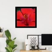 Poster Belize - Fleur rouge (Bureau à domicile)