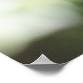 Poster Bélize Oiseau, Euphonie à fond d'olive verte (Coin)