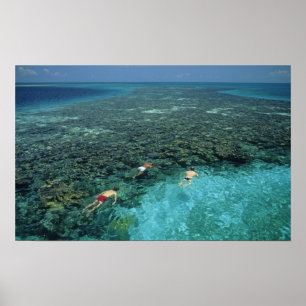 Poster Belize, récif de la barrière, récif Lighthouse, bl