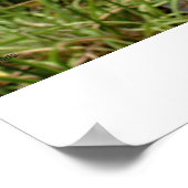 Poster Bell et Garden, Ohio (Coin)