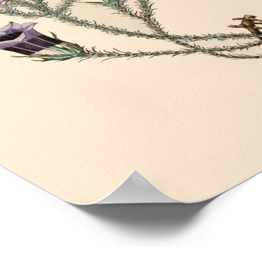 Poster Bell Flower Botanical (Coin)