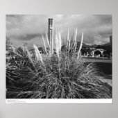 Poster Bell Tower, Pampas Grass, décembre 1966 (Devant)