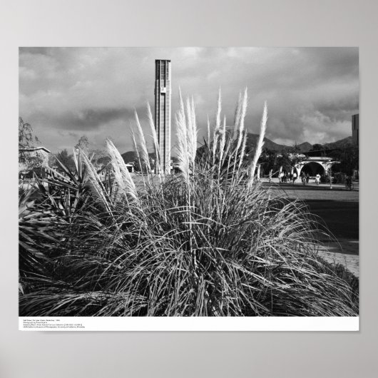 Poster Bell Tower, Pampas Grass, décembre 1966 (Devant)