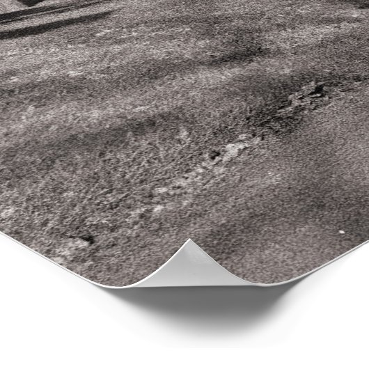 Poster Bell Vue Park, Newport, lun (déc. 1977) (Coin)