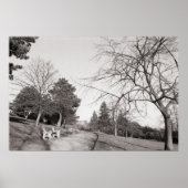 Poster Bell Vue Park, Newport, lun (déc. 1977) (Devant)