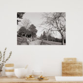 Poster Bell Vue Park, Newport, lun (déc. 1977) (Cuisine)