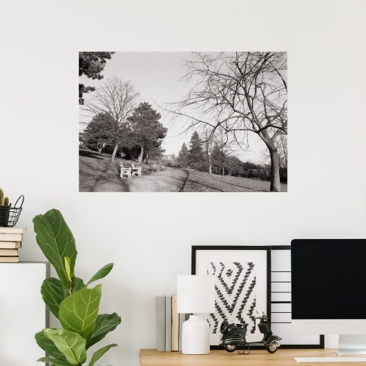 Poster Bell Vue Park, Newport, lun (déc. 1977) (Bureau à domicile)