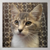 Poster Bella (Devant)