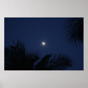 Poster Bella Luna
