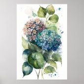 Poster Belle aquarelle Hydrangeas (Devant)