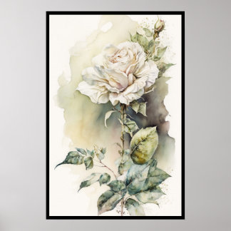 Poster Belle aquarelle rose blanche