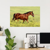 Poster Belle Baie Horse (Bureau à domicile)