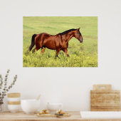 Poster Belle Baie Horse (Cuisine)