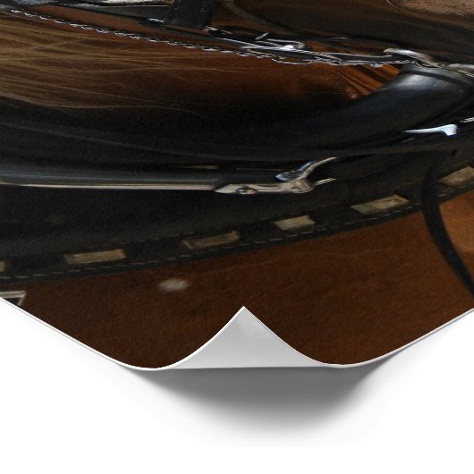 Poster Belle Belge (Coin)