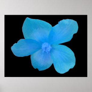 Poster Belle Bleue Bégonia