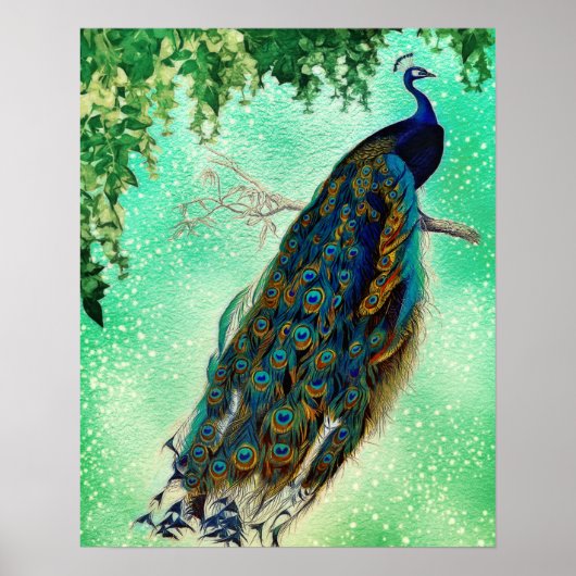 Poster Belle Blue Peacock Nature Bird Tail Vintage (Devant)