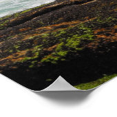 Poster Belle Brazileira 4 (Coin)