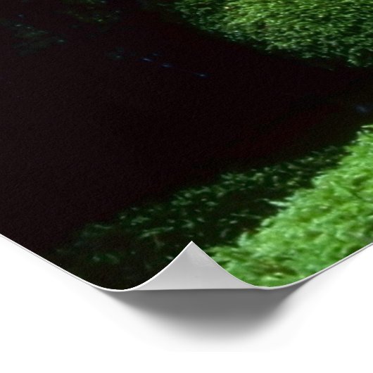 Poster Belle cascade (Coin)