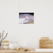 Poster Belle Chat Blanc (Cuisine)