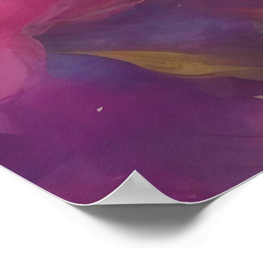 Poster Belle Chat Blanc Fluffy (Coin)