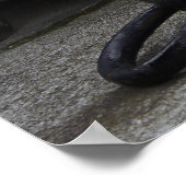 Poster Belle Chat Blanc Sur Une Grave (Coin)