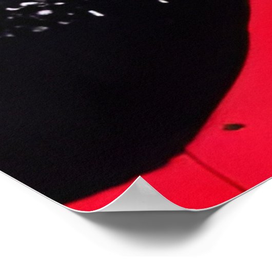 Poster Belle Chat Noir (Coin)