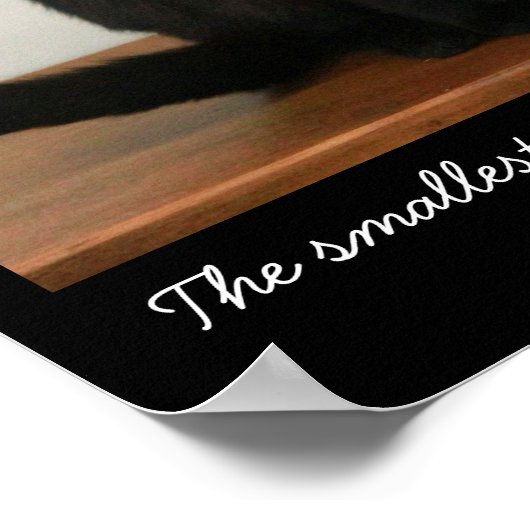 Poster Belle Chat Noir (Coin)