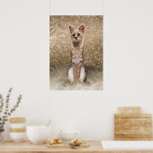 Poster Belle Chat Serval Africain Sauvage (Cuisine)