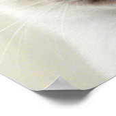 Poster Belle Chic Sweet Pet Siamese Kitten Chat (Coin)