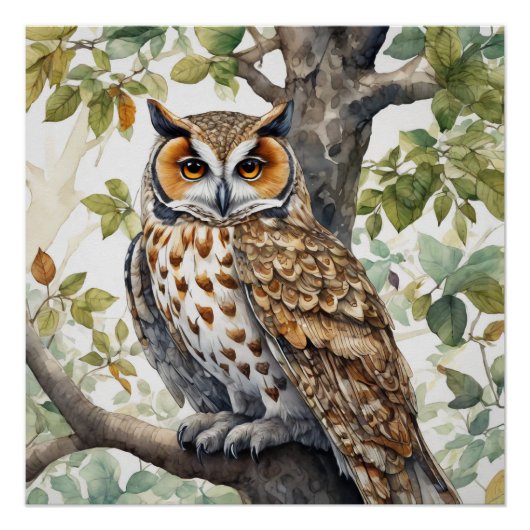 Poster Belle Chouette assise sur une branche d'arbre (Devant)