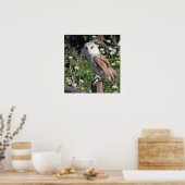 Poster Belle chouette de grange (Cuisine)