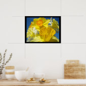 Poster Belle collection d'art floral estampes Daffodiles (Cuisine)