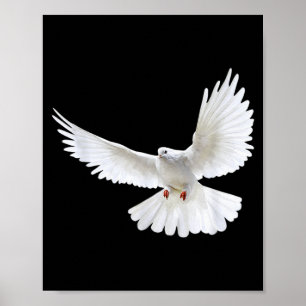 Poster Belle Colombe Blanche Paisible Volante Photo Silho