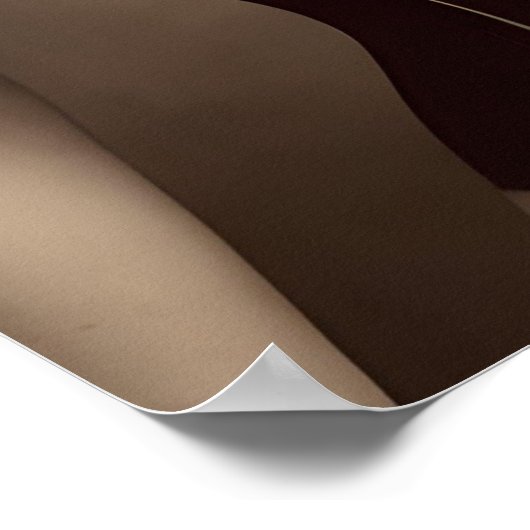 Poster Belle Corset Victorienne (Coin)